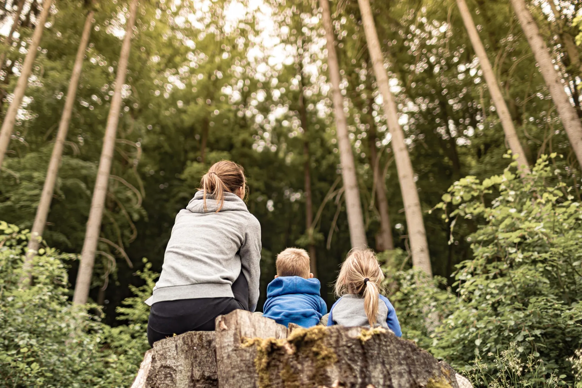 banner-naturcamp