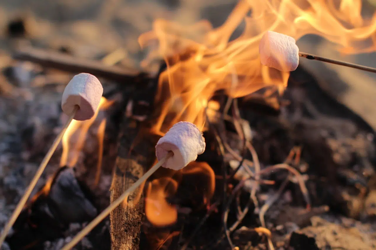 camping alsace naturcamp feu