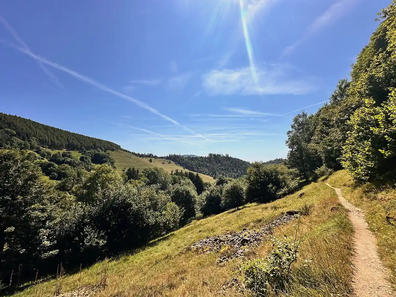 randonnée en alsace camping nature