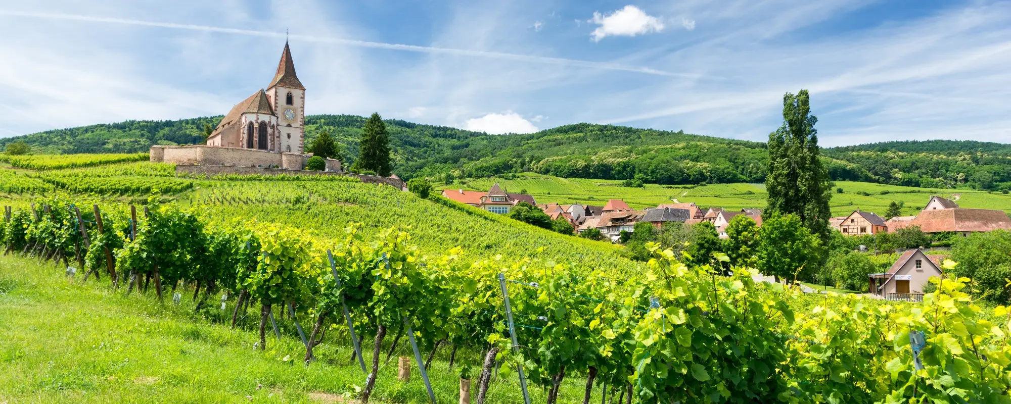 vignobles tourisme alsace